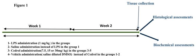 Cardioprotective effect of cedrol in an inflammation systemic model induced by lipopolysaccharide: Biochemical and histological verification.