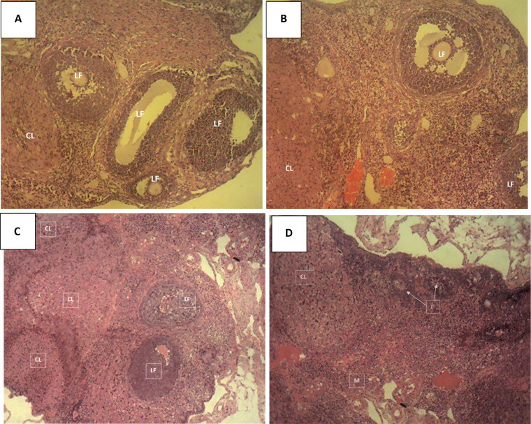 Effect of Aqueous Extract of Unripe <i>Musa Paradisiaca</i> Linn on Parameters Affecting Reproduction in Rats.