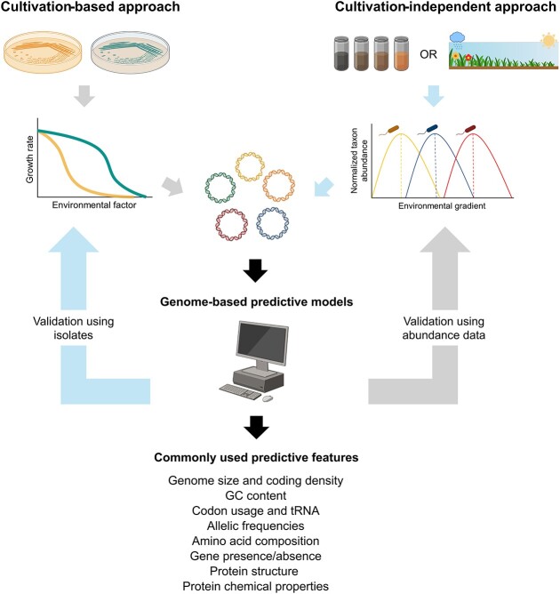 Leveraging genomic information to predict environmental preferences of bacteria.