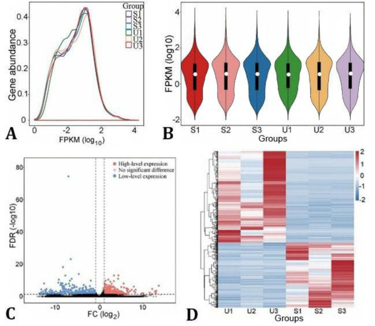 Key molecules regulating the blood meals of <i>Rhipicephalus sanguineus</i> (Acari: <i>Ixodidae</i>) revealed by transcriptomics.