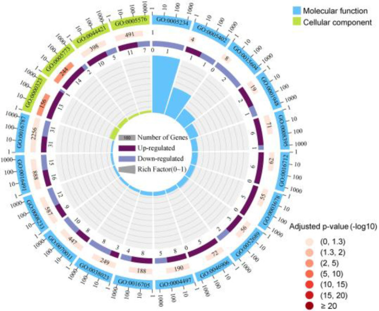 Key molecules regulating the blood meals of <i>Rhipicephalus sanguineus</i> (Acari: <i>Ixodidae</i>) revealed by transcriptomics.
