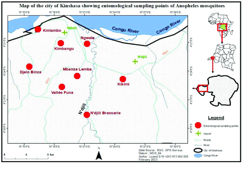 Species composition and distribution of the <i>Anopheles gambiae</i> complex circulating in Kinshasa.