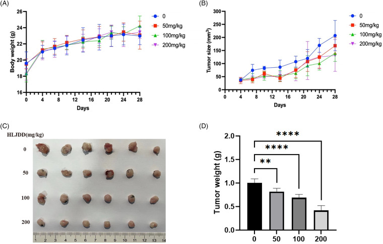 "Huanglianjiedu Decoction" Against Pancreatic Adenocarcinoma Proliferation of by Downregulating the PI3K/AKT/mTOR and MAPK/ERK1/2 Signaling Pathways.