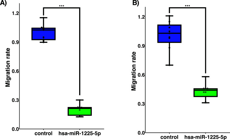 The Expression of Hsa-Mir-1225-5p Limits the Aggressive Biological Behaviour of Luminal Breast Cancer Cell Lines.