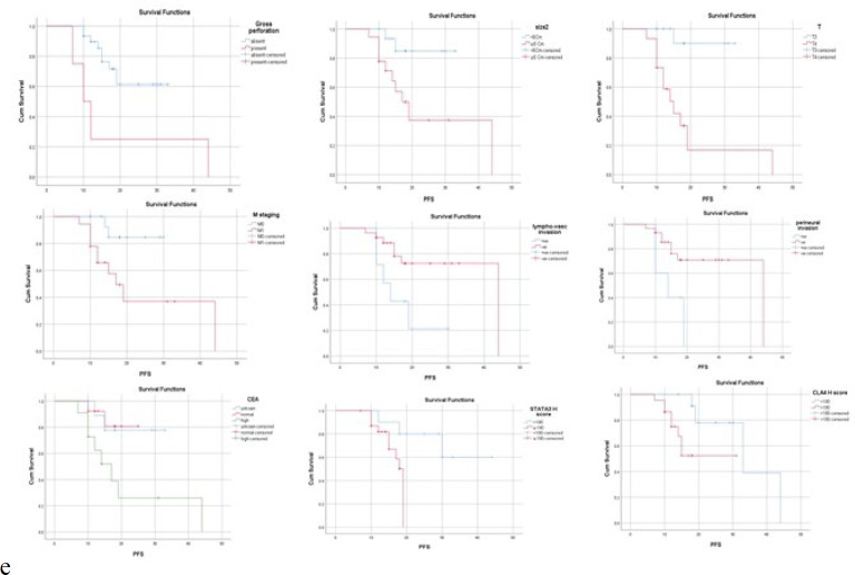 Role of CTLA4 and pSTAT3 Immunostaining in Prognosis and Treatment of the Colorectal Carcinoma.