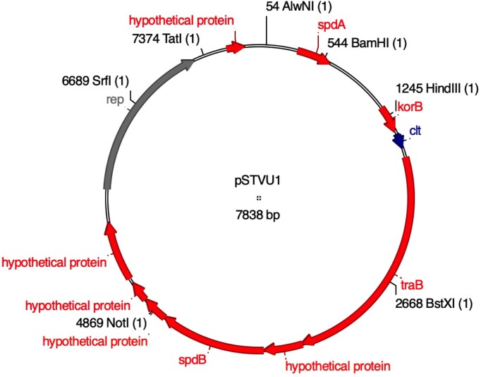 Identification of plasmids from thermophilic Streptomyces strains and development of a gene cloning system for thermophilic Streptomyces species.