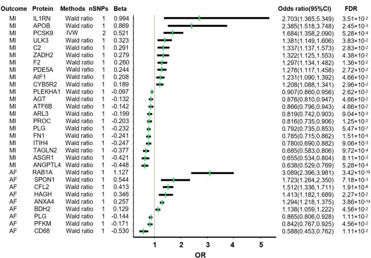 Mendelian randomization reveals plasminogen as a common therapeutic target for myocardial infarction and atrial fibrillation.