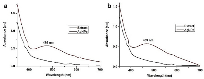 Antibacterial, antioxidant, and anticancer potential of green fabricated silver nanoparticles made from Viburnum grandiflorum leaf extract.