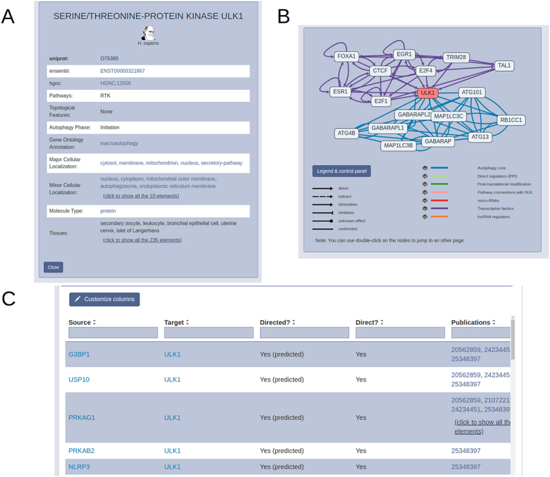 AutophagyNet: high-resolution data source for the analysis of autophagy and its regulation.