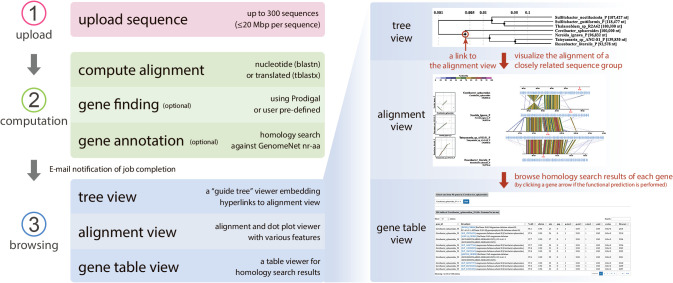 DiGAlign: Versatile and Interactive Visualization of Sequence Alignment for Comparative Genomics.