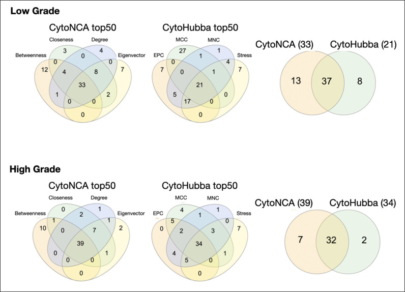 Profiles of urinal exosomal miRNAs derived from bladder cancer.