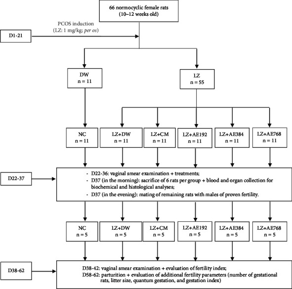 <i>Allium ampeloprasum</i> var. Porrum (Alliaceae) Improves Metabolic and Reproductive Disorders Associated with Polycystic Ovary Syndrome in <i>Wistar</i> Rats.