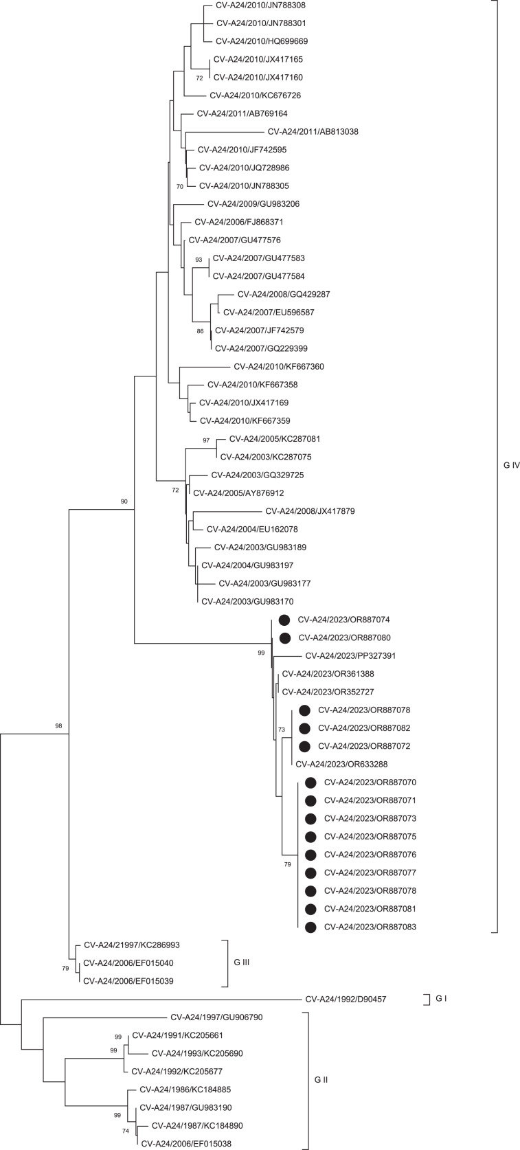 An Outbreak of Acute Hemorrhagic Conjunctivitis Caused by Coxsackievirus A24 in Eastern Uttar Pradesh, India 2023.