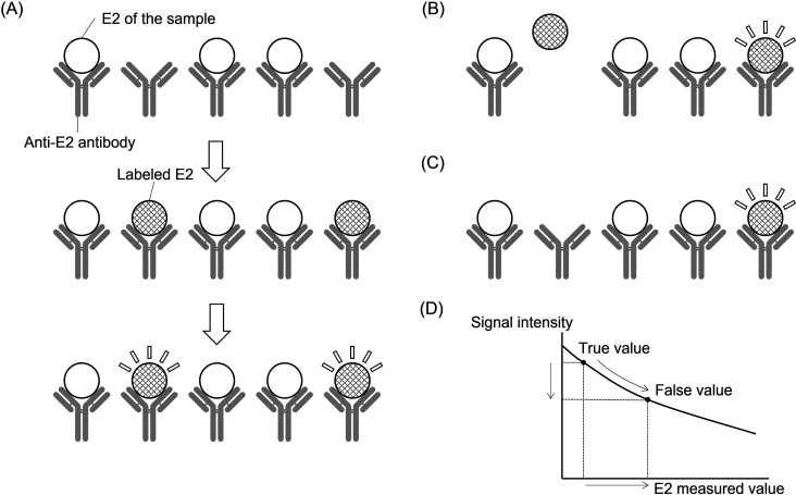 Pitfalls in estradiol measurement by electrochemiluminescence immunoassay: A case study of a prepubertal girl with a falsely elevated serum estradiol level.