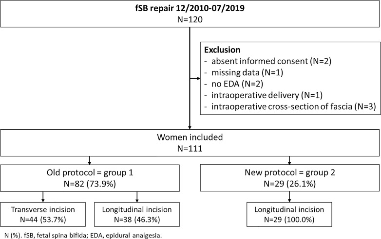 Abstract Image