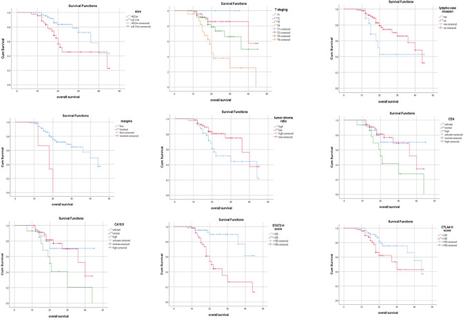 Role of CTLA4 and pSTAT3 Immunostaining in Prognosis and Treatment of the Colorectal Carcinoma.