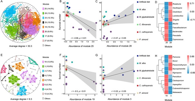 Gut microbiota facilitate adaptation of invasive moths to new host plants.