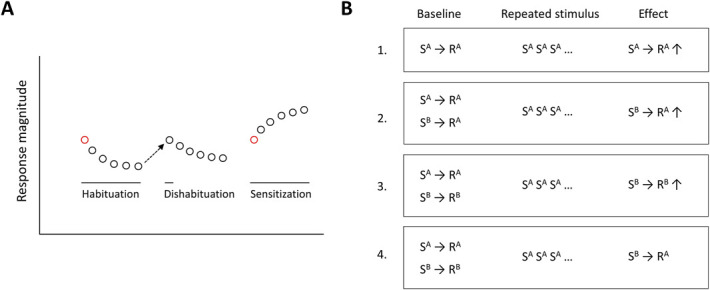 Reconceptualizing sensitization in pain: back to basics.