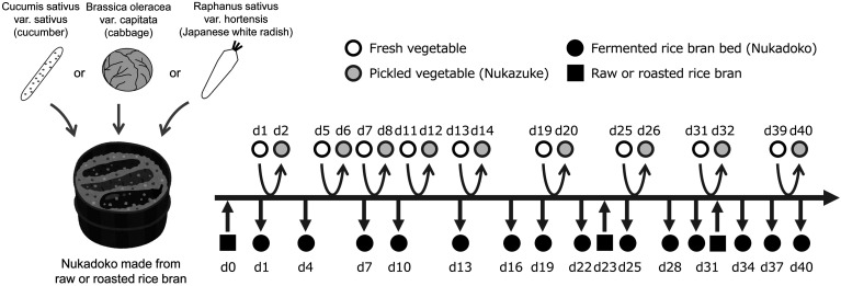 Impact of vegetables on the microbiota of the rice bran pickling bed Nukadoko.