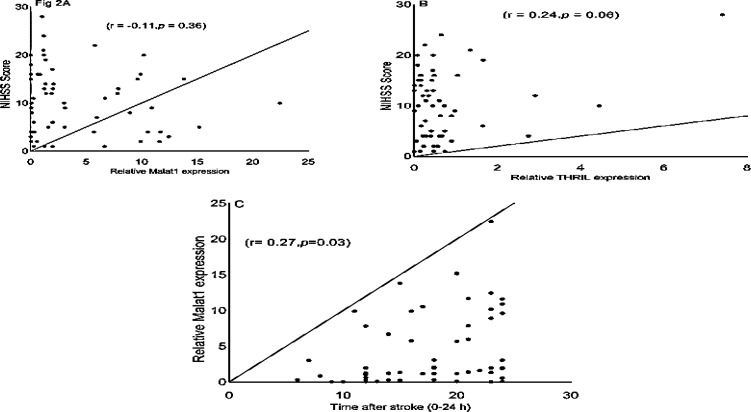 Sequential changes in expression of long non-coding RNAs THRIL and MALAT1 after ischemic stroke.