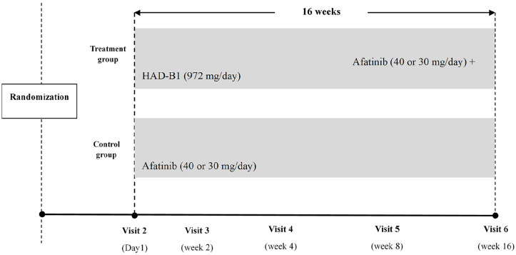 A Randomized, Multi-Center, Open Label Study to Compare the Safety and Efficacy between Afatinib Monotherapy and Combination Therapy with HAD-B1 for the Locally Advanced or Metastatic NSCLC Patients with EGFR Mutations.