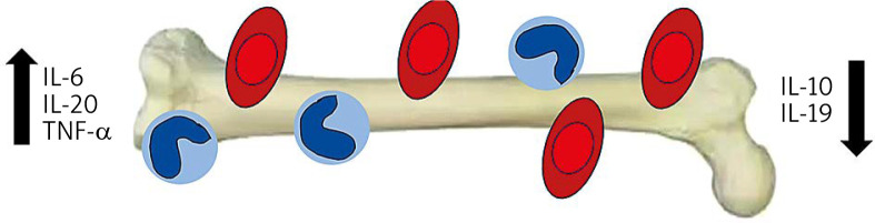 Abstract Image