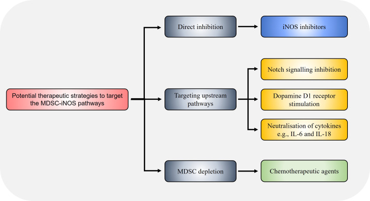 Novel therapeutic strategies targeting myeloid-derived suppressor cell immunosuppressive mechanisms for cancer treatment.