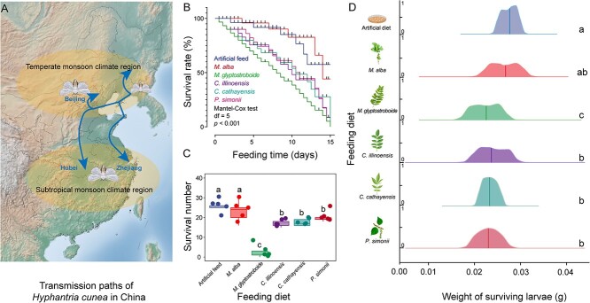 Gut microbiota facilitate adaptation of invasive moths to new host plants.