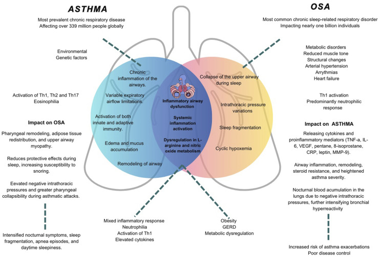 Asthma and obstructive sleep apnea: Unveiling correlations and treatable traits for comprehensive care.