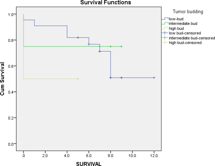 Histopathologic and Prognostic Significance of Tumor Budding in Colorectal Adenocarcinoma: A Retrospective Cohort Study Conducted in Shiraz, Iran.