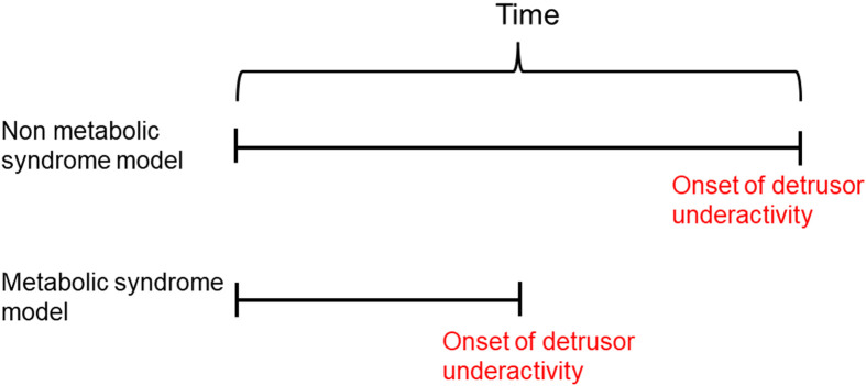 Association of detrusor underactivity with aging and metabolic syndrome: suggestions from animal models.