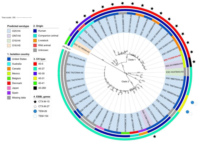Genomic characterization of a multidrug-resistant uropathogenic <i>Escherichia coli</i> and evaluation of <i>Echeveria</i> plant extracts as antibacterials.
