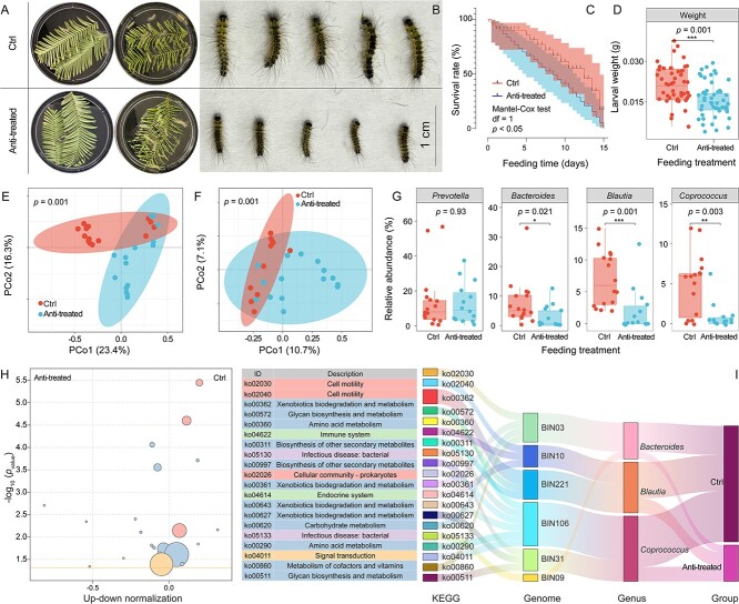 Gut microbiota facilitate adaptation of invasive moths to new host plants.
