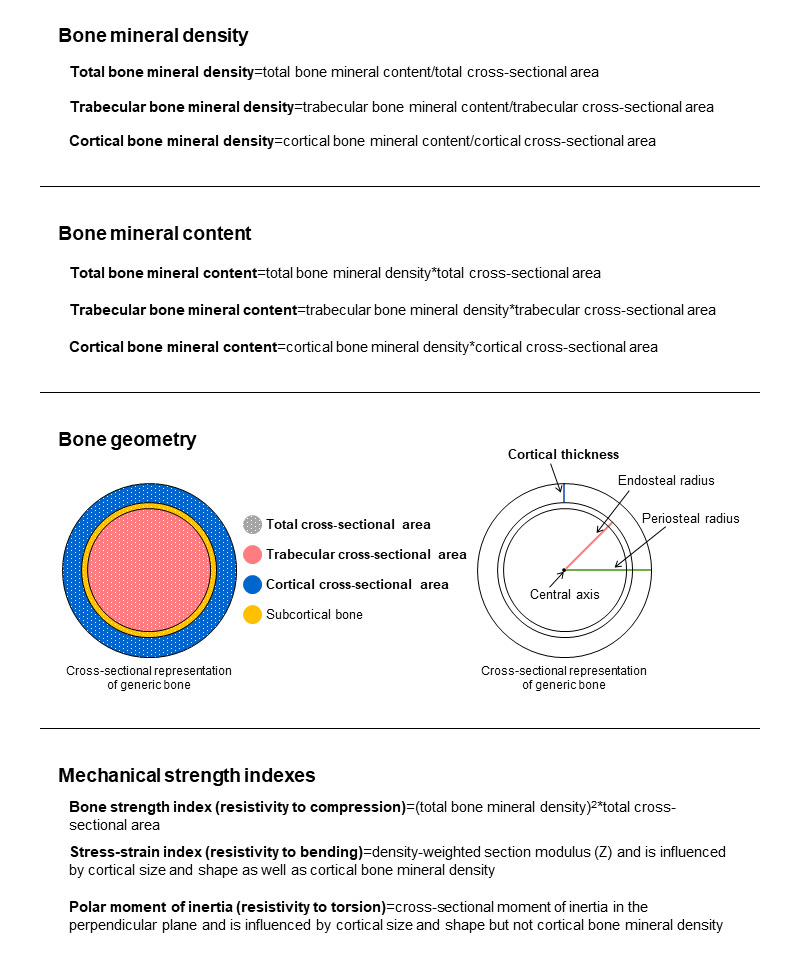 Potential Effects of an Exoskeleton-Assisted Overground Walking Program for Individuals With Spinal Cord Injury Who Uses a Wheelchair on Imaging and Serum Markers of Bone Strength: Pre-Post Study.