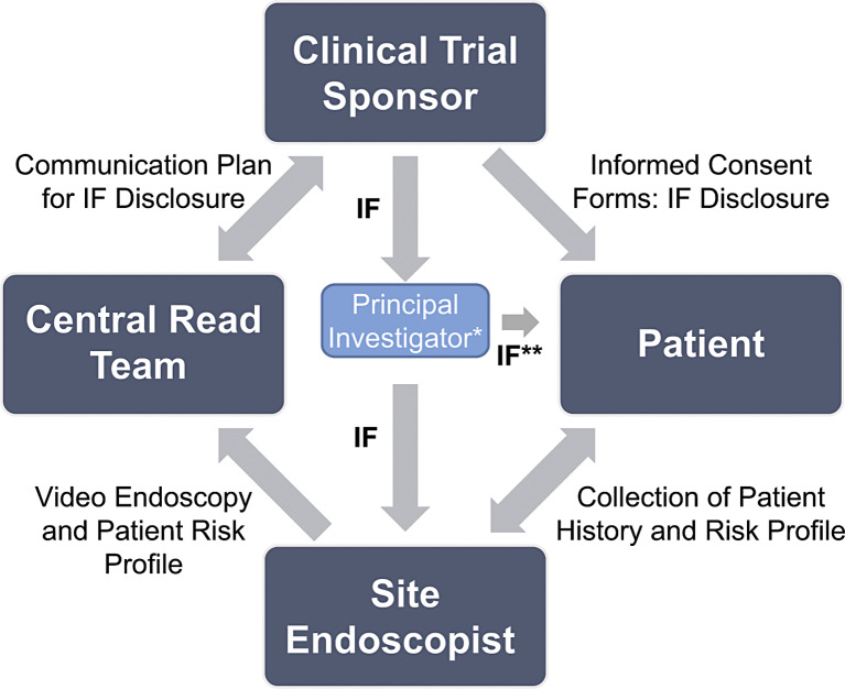 Considerations for Colorectal Neoplasia Detection in Inflammatory Bowel Disease Clinical Trials.