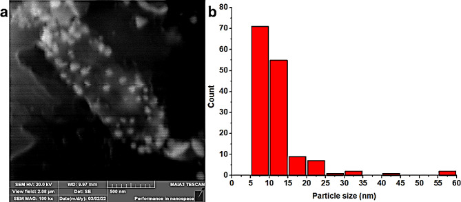 Antibacterial, antioxidant, and anticancer potential of green fabricated silver nanoparticles made from Viburnum grandiflorum leaf extract.