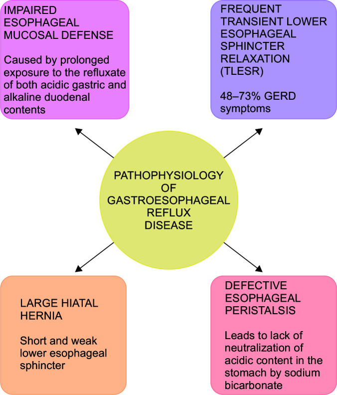 High Dose Pantoprazole for Gastroesophageal Reflux Disease: Need, Evidence, Guidelines and Our Experience.