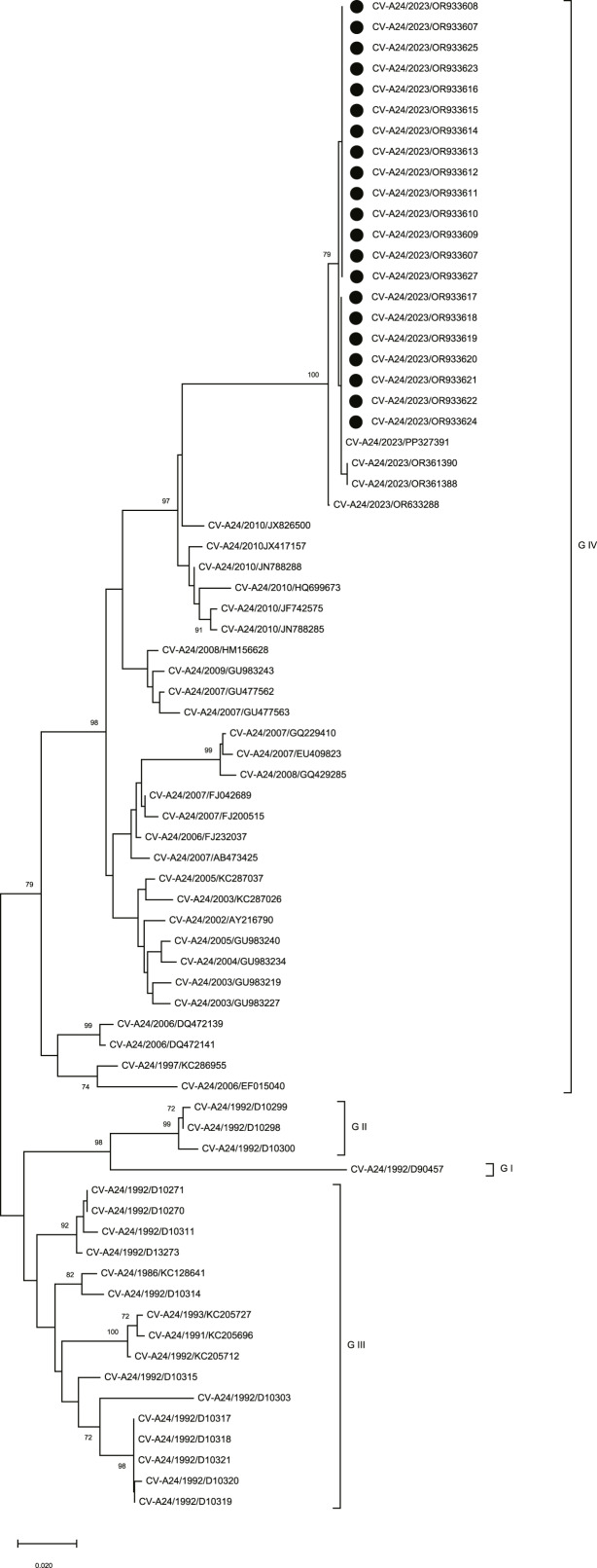 An Outbreak of Acute Hemorrhagic Conjunctivitis Caused by Coxsackievirus A24 in Eastern Uttar Pradesh, India 2023.
