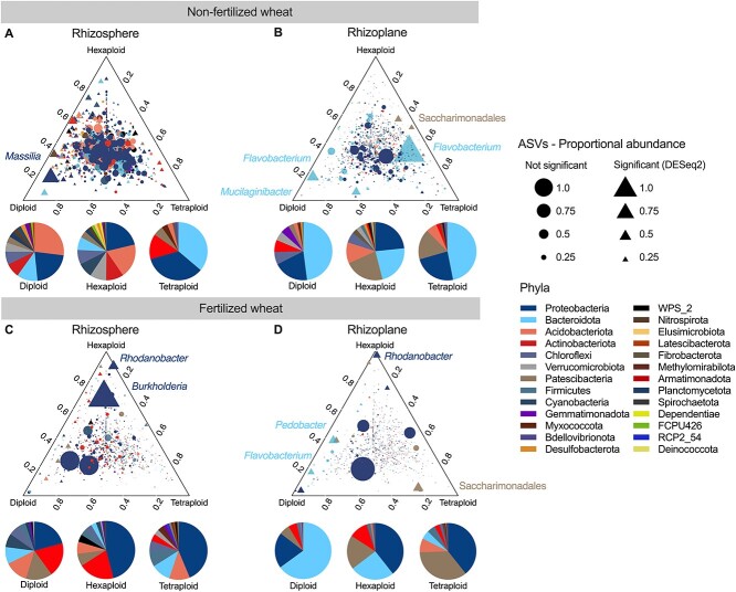 Agricultural intensification reduces selection of putative plant growth-promoting rhizobacteria in wheat.