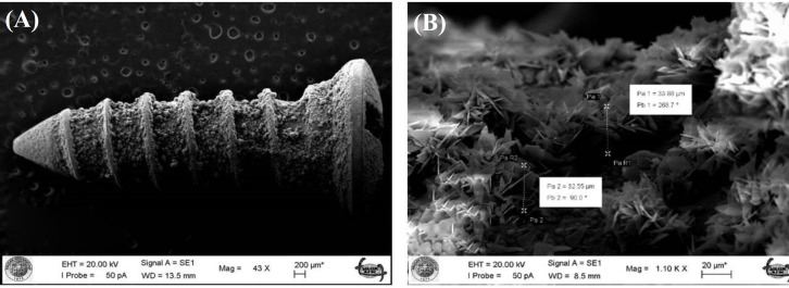 Biocompatibility and Osseointegration of the Biomimetically Coated and Water-Soluble Eggshell Membrane Protein Cross-Linked Ti Alloy Screws.
