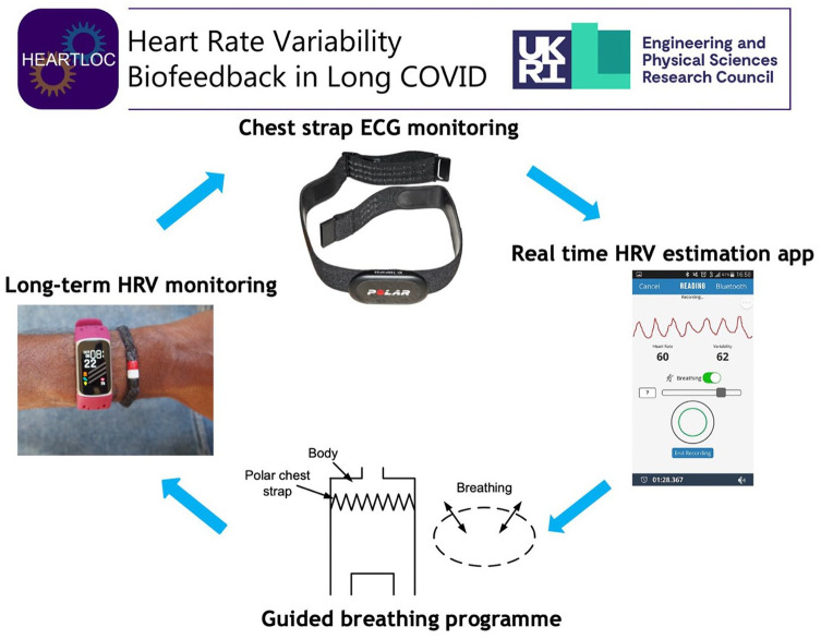 HEART Rate Variability Biofeedback for LOng COVID Dysautonomia (HEARTLOC): Results of a Feasibility Study.