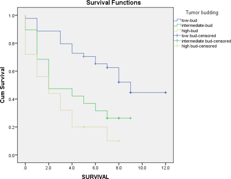 Histopathologic and Prognostic Significance of Tumor Budding in Colorectal Adenocarcinoma: A Retrospective Cohort Study Conducted in Shiraz, Iran.