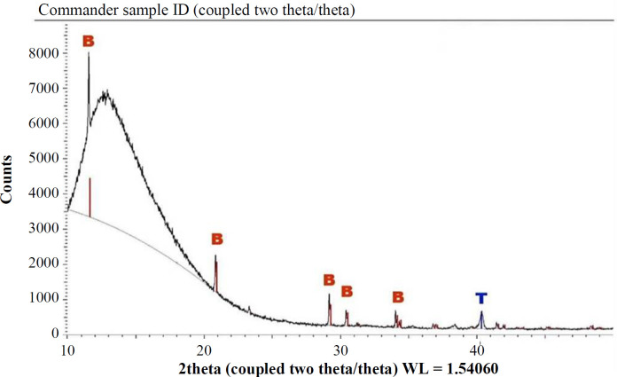 Biocompatibility and Osseointegration of the Biomimetically Coated and Water-Soluble Eggshell Membrane Protein Cross-Linked Ti Alloy Screws.