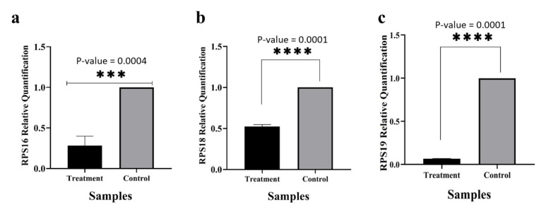 SiRNA-mediated Silencing of the RPS19 Gene Induces Apoptosis and Inhibits Cell Cycle Progression in Chronic Myeloid Leukemia Cells.