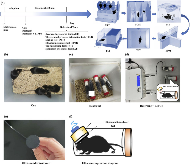 Neuropsychiatric Behavioral Assessments in Mice After Acute and Long-Term Treatments of Low-Intensity Pulsed Ultrasound.