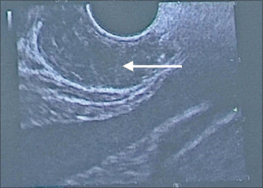 Abstract Image