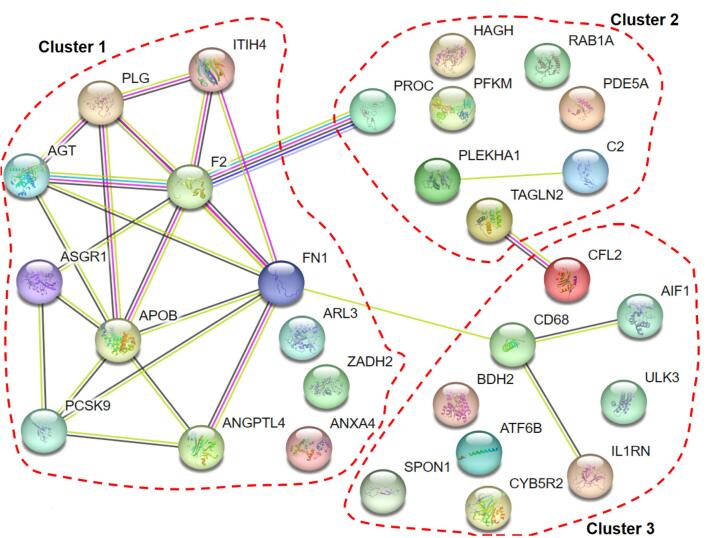 Mendelian randomization reveals plasminogen as a common therapeutic target for myocardial infarction and atrial fibrillation.