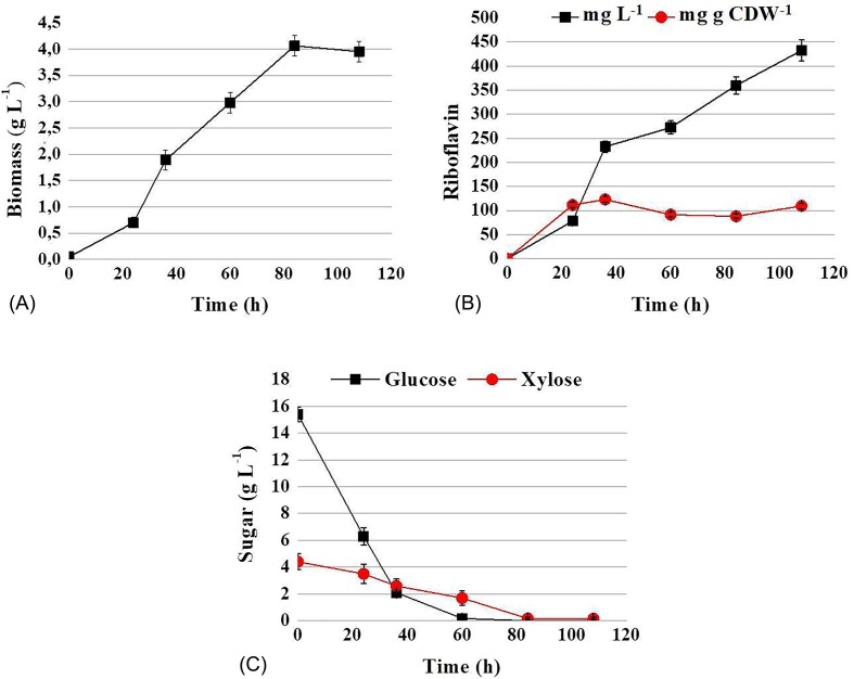 Riboflavin overproduction on lignocellulose hydrolysate by the engineered yeast Candida famata.