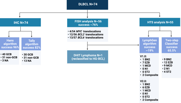 Molecular Characterization and Genetic Subclassification Comparison of Diffuse Large B-Cell Lymphoma: Real-Life Experience with 74 Cases.