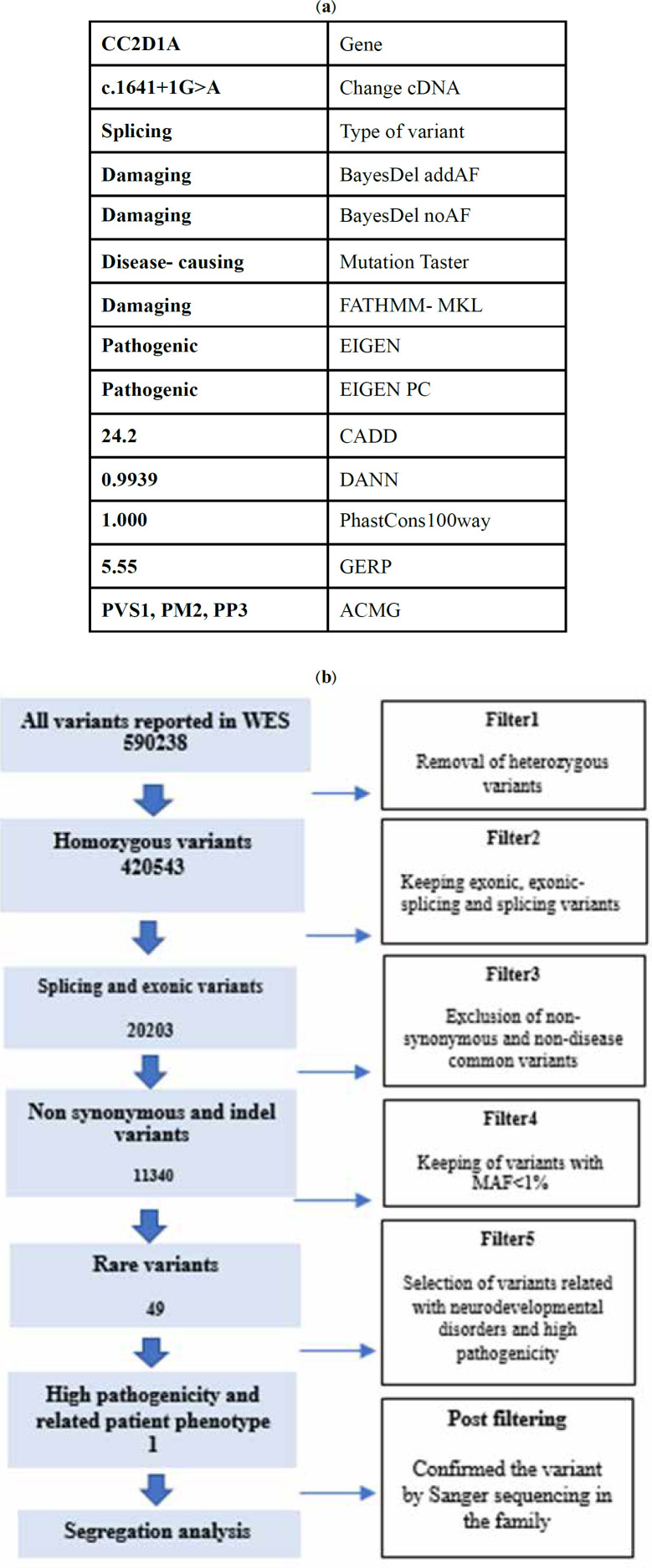 Identification of a Novel Variant in CC2D1A Gene Linked to Autosomal Recessive Intellectual Disability 3 in an Iranian Family and Investigating the Structure and Pleiotropic Effects of this Gene.